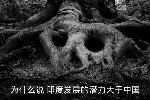印度經(jīng)濟(jì)超中國理由,印度和中國的經(jīng)濟(jì)實力