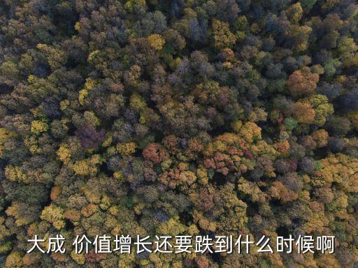  大成 價(jià)值增長(zhǎng)還要跌到什么時(shí)候啊