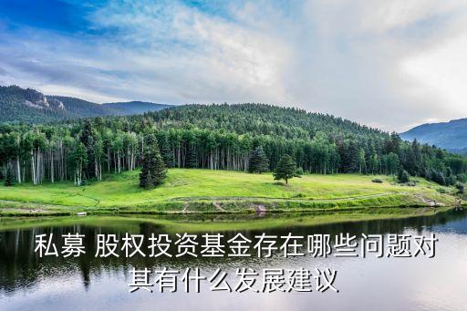  私募 股權(quán)投資基金存在哪些問題對(duì)其有什么發(fā)展建議