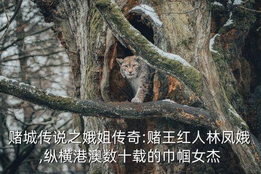 賭城傳說(shuō)之娥姐傳奇:賭王紅人林鳳娥,縱橫港澳數(shù)十載的巾幗女杰