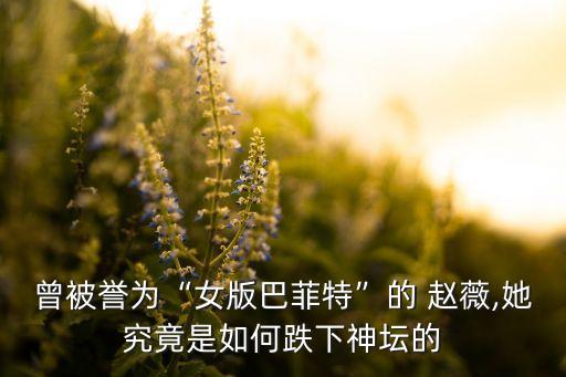 曾被譽(yù)為“女版巴菲特”的 趙薇,她究竟是如何跌下神壇的