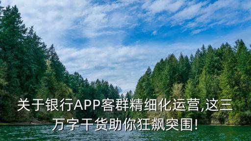 關(guān)于銀行APP客群精細(xì)化運(yùn)營(yíng),這三萬(wàn)字干貨助你狂飆突圍!