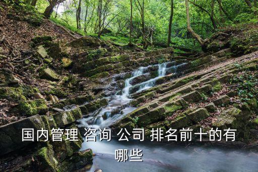 國內管理 咨詢 公司 排名前十的有哪些