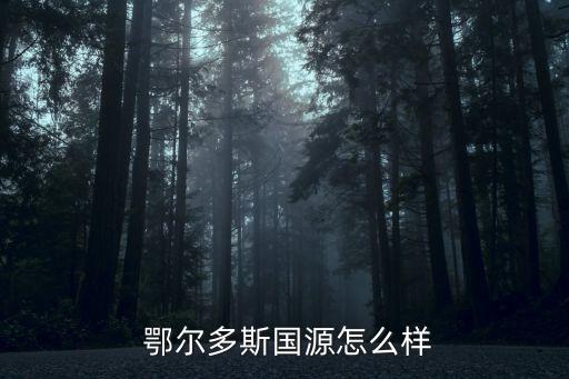 鄂爾多斯市聯(lián)峰礦業(yè)有限責任公司