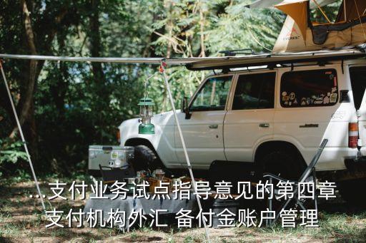 ...支付業(yè)務(wù)試點指導(dǎo)意見的第四章支付機(jī)構(gòu)外匯 備付金賬戶管理