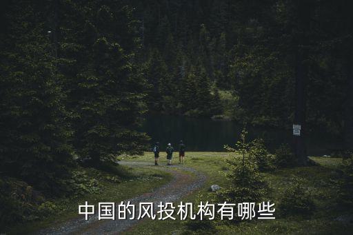 中國的風投機構(gòu)有哪些