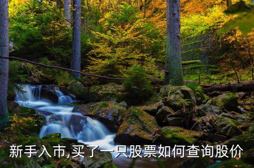 新手入市,買(mǎi)了一只股票如何查詢股價(jià)