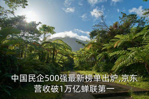 中國(guó)民企500強(qiáng)最新榜單出爐,京東營(yíng)收破1萬(wàn)億蟬聯(lián)第一