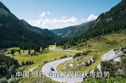 中國 銀行業(yè)的發(fā)展現(xiàn)狀與趨勢(shì)