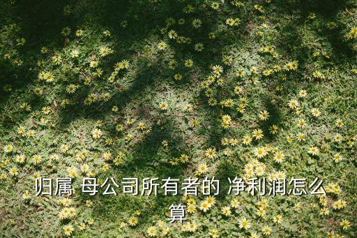  歸屬 母公司所有者的 凈利潤(rùn)怎么算