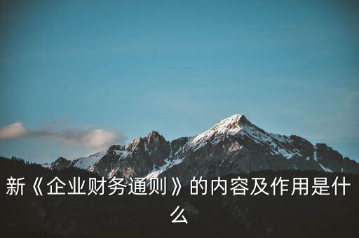 新《企業(yè)財務通則》的內(nèi)容及作用是什么