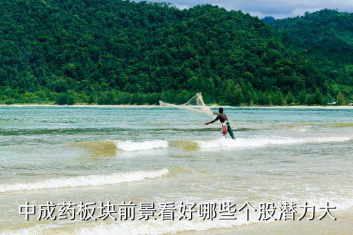 同仁堂股票走勢(shì)