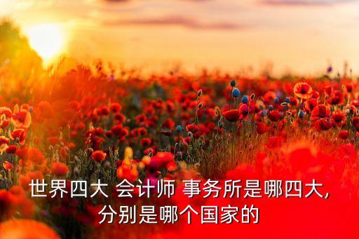 世界四大 會計(jì)師 事務(wù)所是哪四大,分別是哪個(gè)國家的