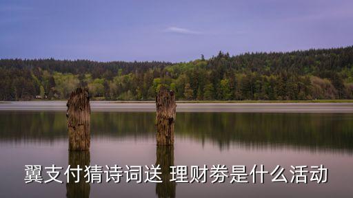 翼支付猜詩詞送 理財(cái)劵是什么活動(dòng)