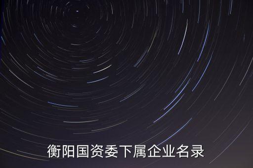 衡陽國(guó)資委下屬企業(yè)名錄