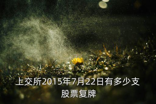 上交所2015年7月22日有多少支 股票復牌