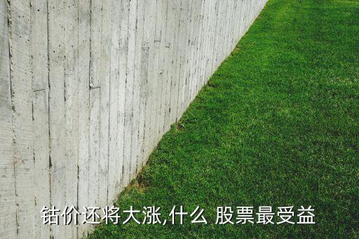 鈷價(jià)還將大漲,什么 股票最受益