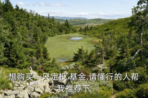 想購買一只定投 基金,請(qǐng)懂行的人幫我推薦下
