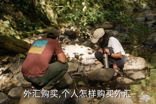 中國(guó)公民能否直接買(mǎi)歐元