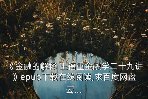 《金融的解釋 王福重金融學(xué)二十九講》epub下載在線閱讀,求百度網(wǎng)盤(pán)云...