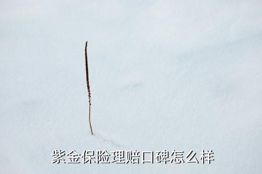  紫金保險(xiǎn)理賠口碑怎么樣