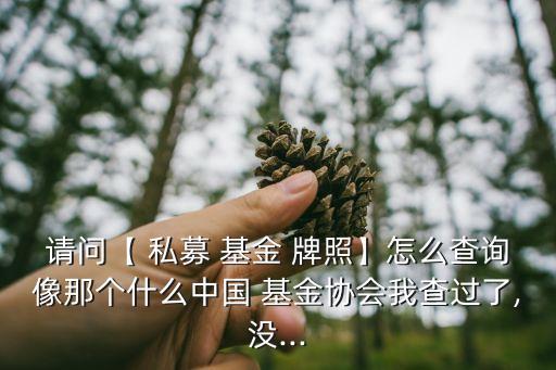 請問【 私募 基金 牌照】怎么查詢像那個什么中國 基金協會我查過了,沒...