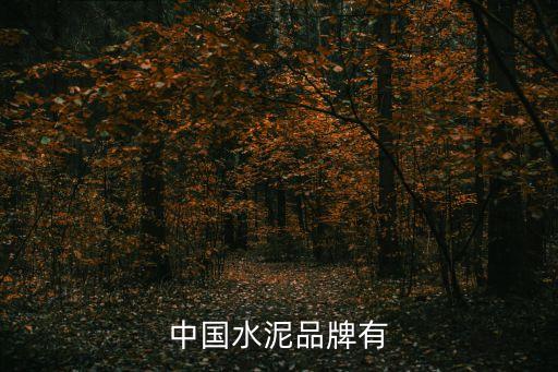 中國(guó)水泥品牌有