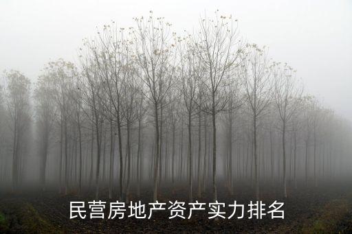 中國民營房地產資產實力排名