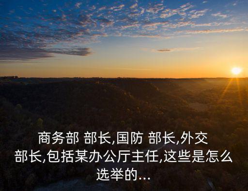  商務部 部長,國防 部長,外交 部長,包括某辦公廳主任,這些是怎么選舉的...