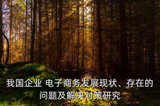 我國(guó)企業(yè) 電子商務(wù)發(fā)展現(xiàn)狀、存在的問(wèn)題及解決對(duì)策研究