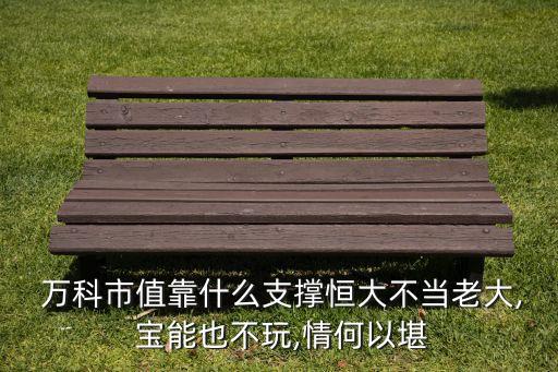  萬(wàn)科市值靠什么支撐恒大不當(dāng)老大, 寶能也不玩,情何以堪