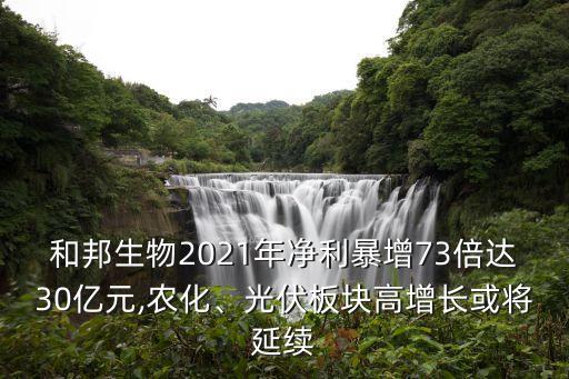 和邦生物2021年凈利暴增73倍達30億元,農(nóng)化、光伏板塊高增長或?qū)⒀永m(xù)
