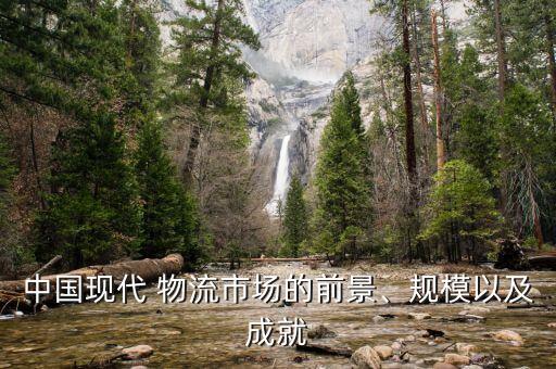 中國現(xiàn)代 物流市場的前景、規(guī)模以及成就