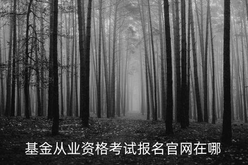 中國證券投資放心工程服務(wù)平臺