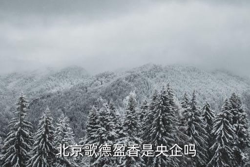 北京金盞金融服務(wù)區(qū)項(xiàng)目建議書
