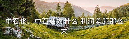 中石化、中石油為什么 利潤差距那么大