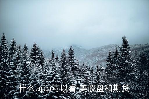 和中國(guó)一樣美股交易軟件,美股交易軟件哪個(gè)好