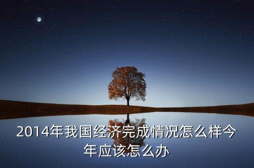 2014年我國經(jīng)濟完成情況怎么樣今年應該怎么辦