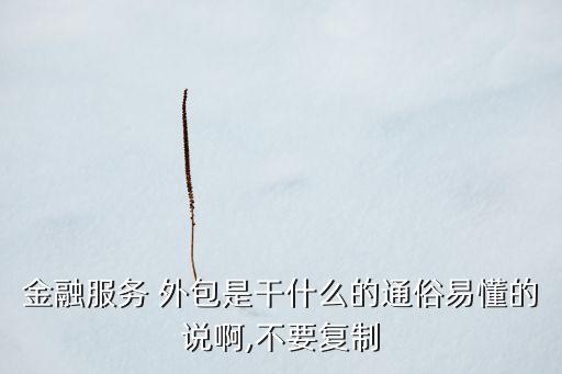 金融服務(wù) 外包是干什么的通俗易懂的說啊,不要復(fù)制
