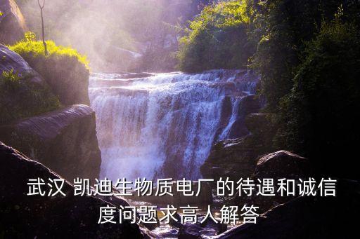  武漢 凱迪生物質電廠的待遇和誠信度問題求高人解答