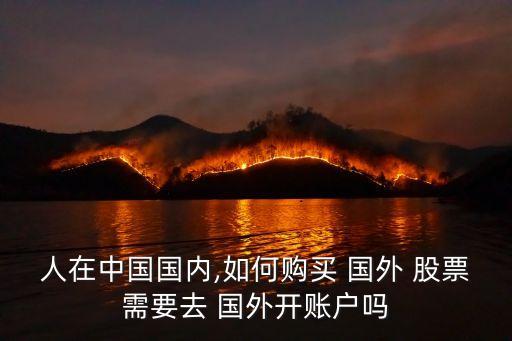人在中國(guó)國(guó)內(nèi),如何購(gòu)買(mǎi) 國(guó)外 股票需要去 國(guó)外開(kāi)賬戶嗎
