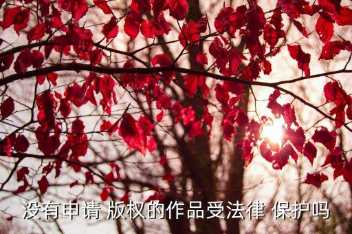 沒有申請 版權(quán)的作品受法律 保護(hù)嗎