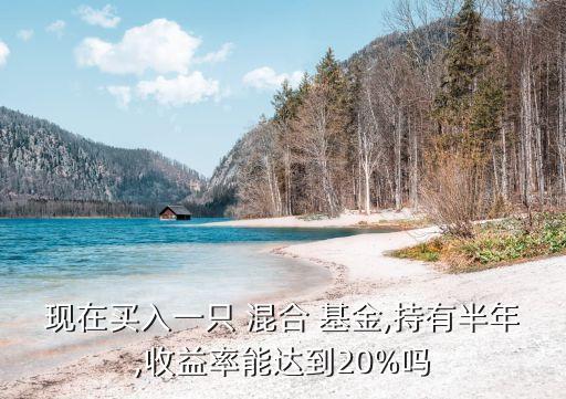 現(xiàn)在買入一只 混合 基金,持有半年,收益率能達(dá)到20%嗎
