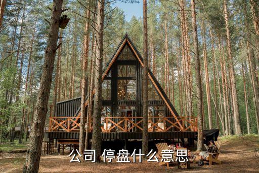 公司 停盤(pán)什么意思