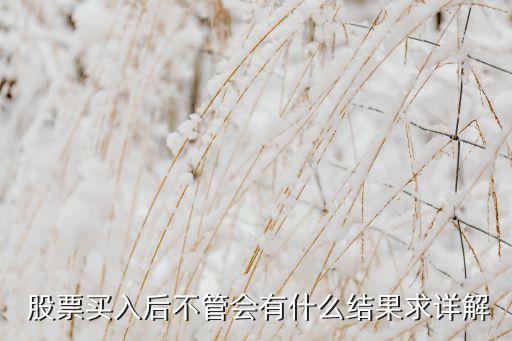  股票買入后不管會(huì)有什么結(jié)果求詳解