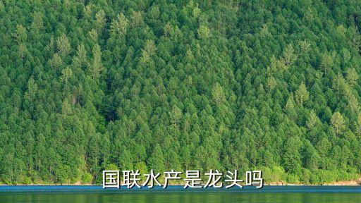  國(guó)聯(lián)水產(chǎn)是龍頭嗎