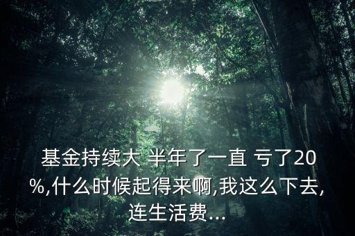  基金持續(xù)大 半年了一直 虧了20%,什么時候起得來啊,我這么下去,連生活費...