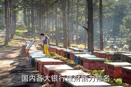 國內(nèi)各大銀行理財(cái)能力排名