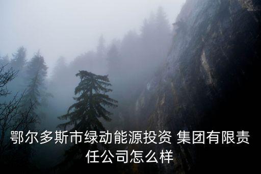 鄂爾多斯市綠動能源投資 集團(tuán)有限責(zé)任公司怎么樣