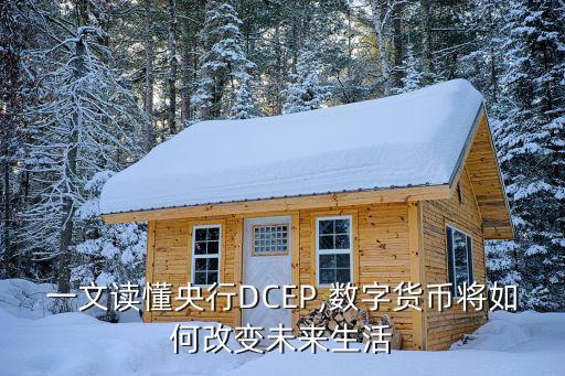 商業(yè)銀行與第三方支付機(jī)構(gòu)競合發(fā)展報(bào)告